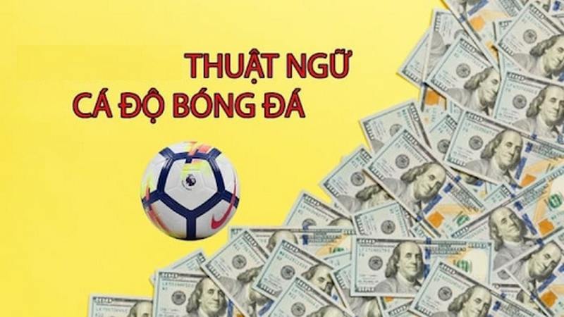 Tại sao các tay chơi cược cần nắm thuật ngữ cá độ bóng đá?